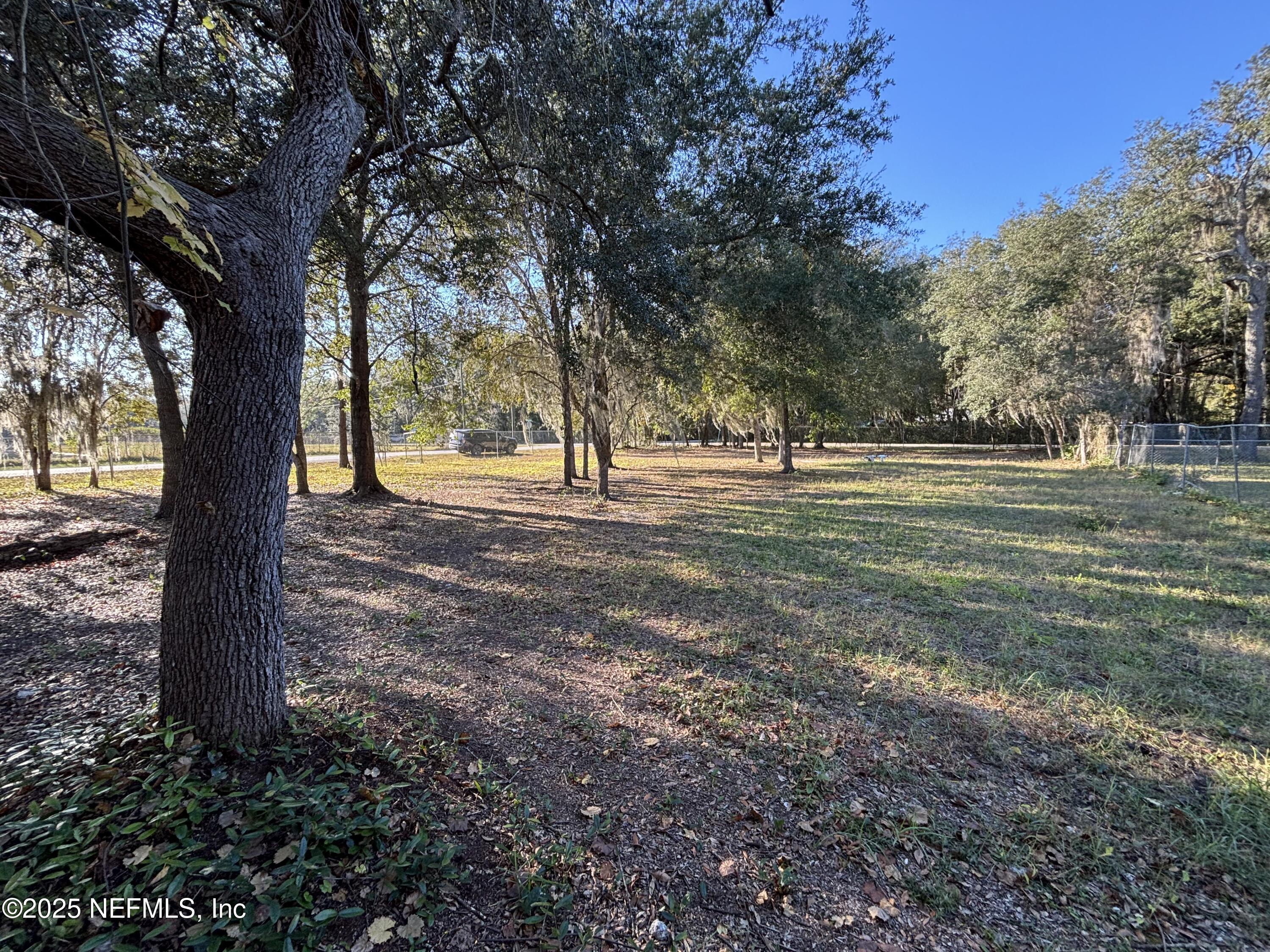 104 Marina Road Satsuma, FL 32189 - Photo 2 of 8 a backyard of a house with lots of green space