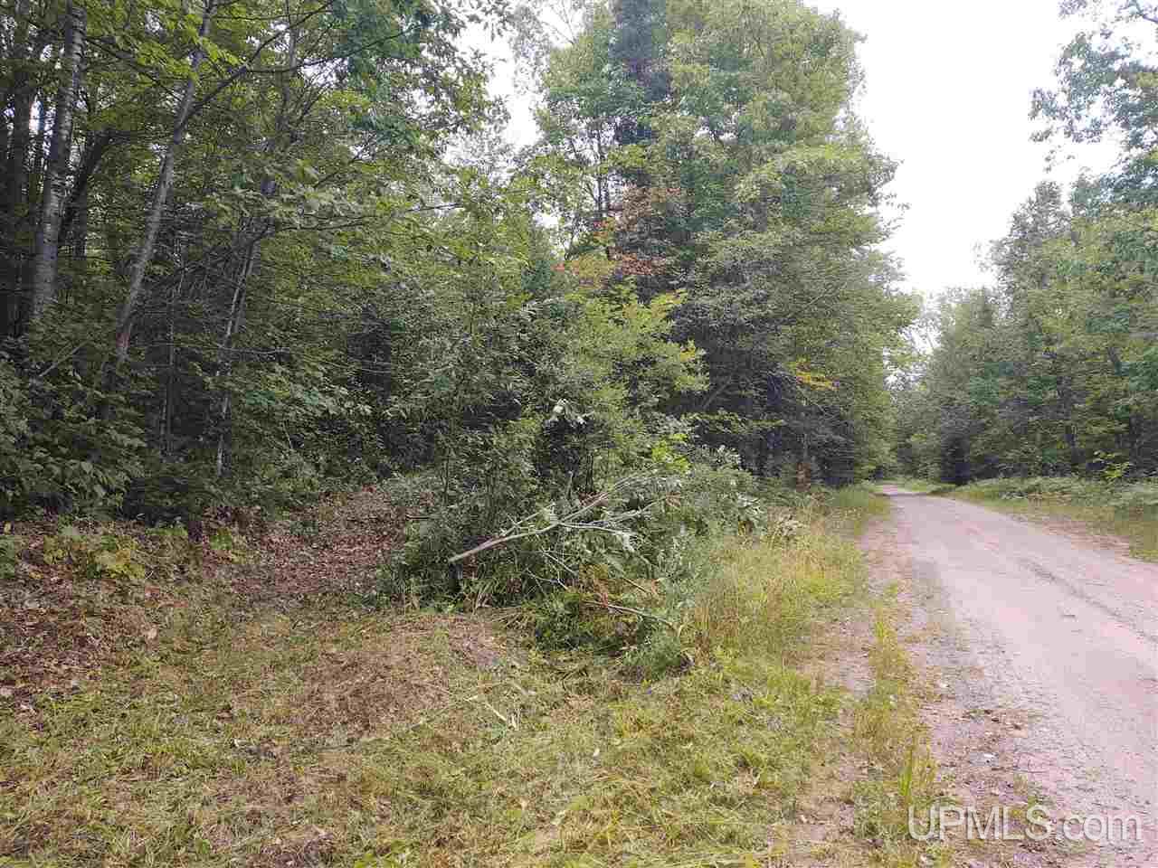 Tbd Moscow Road Chassell, MI 49916 - Photo 4 of 22 Gallery Image 4