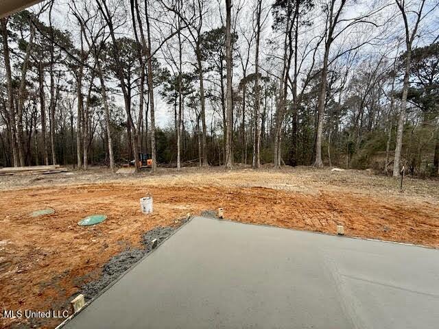 41 Forest Barnes Road Petal, MS 39465 - Photo 13 of 21 backyard