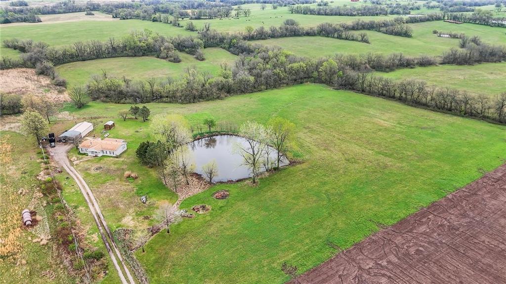33419 State Rte F Garden City, MO 64747 - Photo 4 of 62
