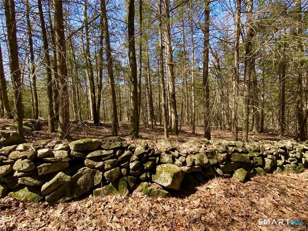 43 Baker Road Roxbury, CT 06783 - Photo 8 of 17 Gallery Image 8