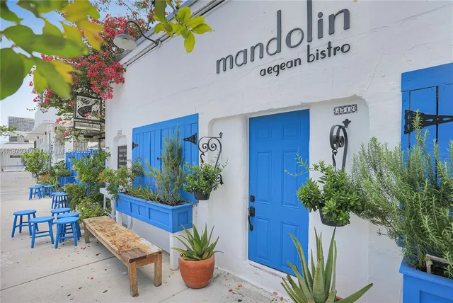 a potted plant sitting in front of a door