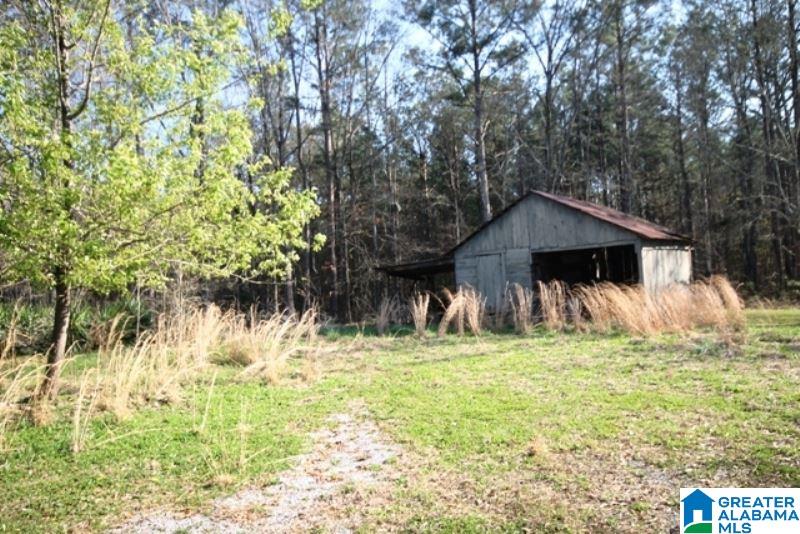 3590 Post Oak Road Jacksonville, AL 36265 - Photo 5 of 11
