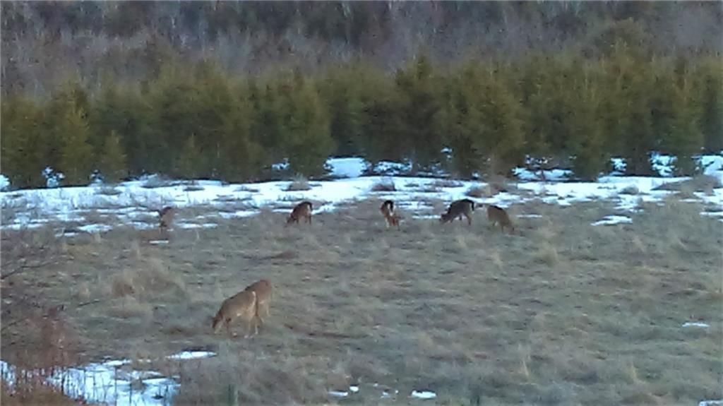570 Monroe Road Winterport, ME 04496 - Photo 23 of 33 Enjoy deer, Canadian geese, ducks...