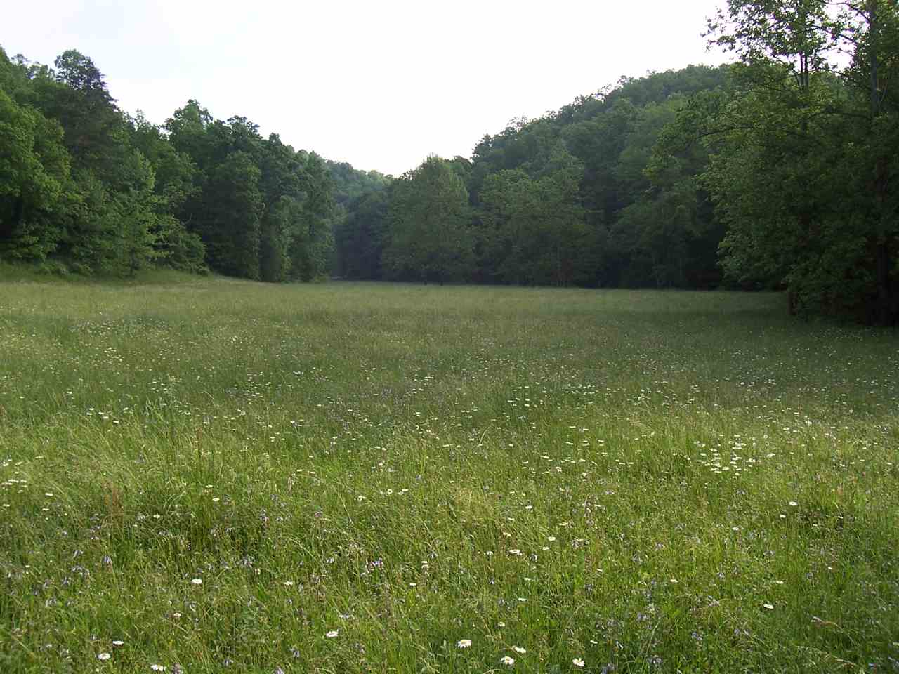 952 Gates Line Road Leon, WV 25123 - Photo 11 of 21 Gallery Image 11