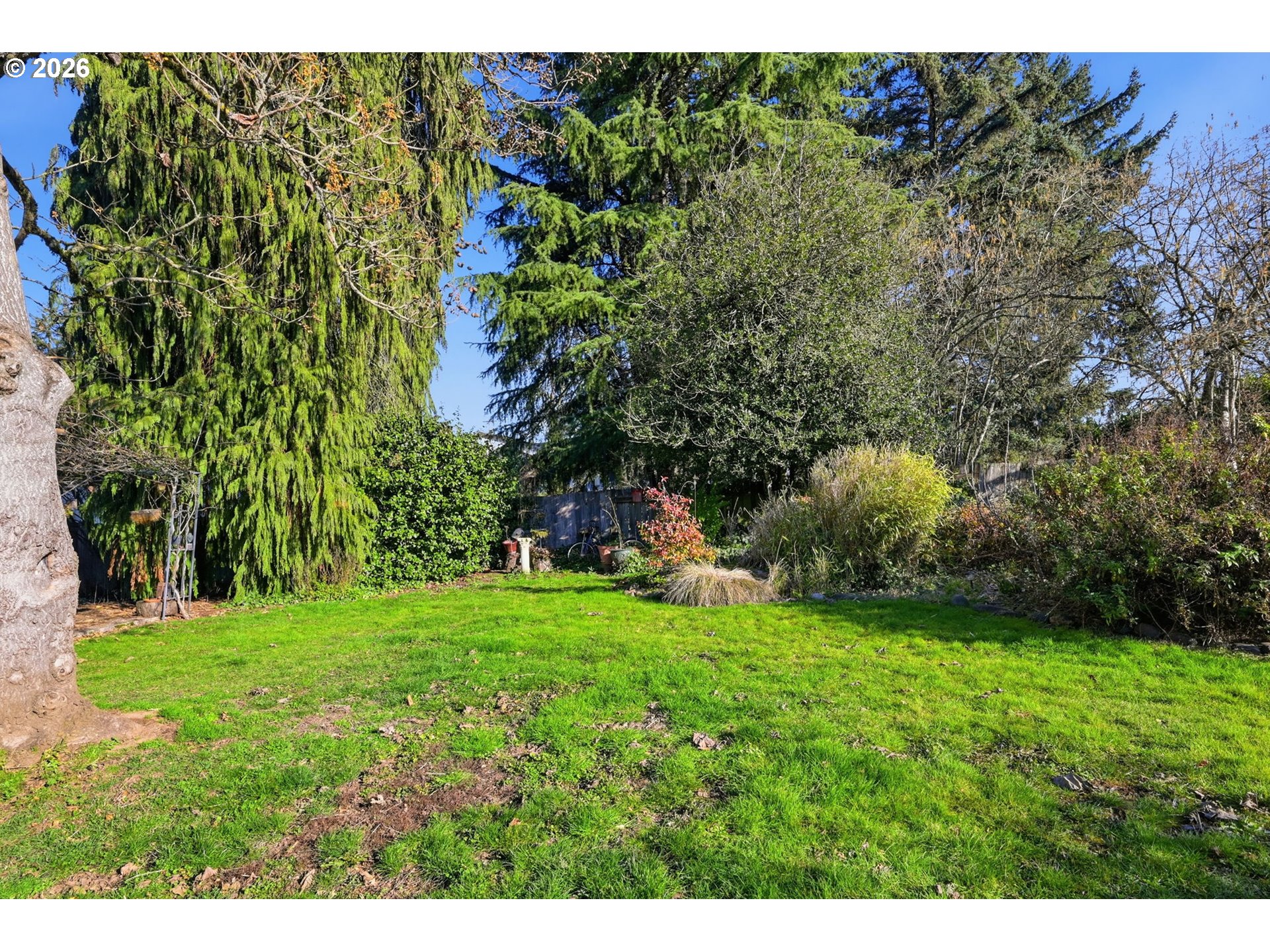 200 Irving Road Eugene, OR 97404 - Photo 47 of 48 Backyard