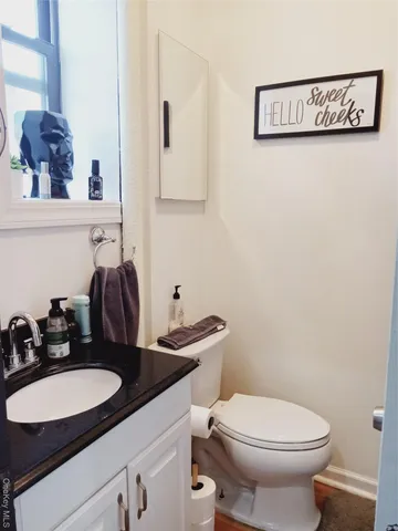 a bathroom with a sink and a toilet