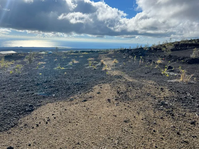a view of an ocean beach