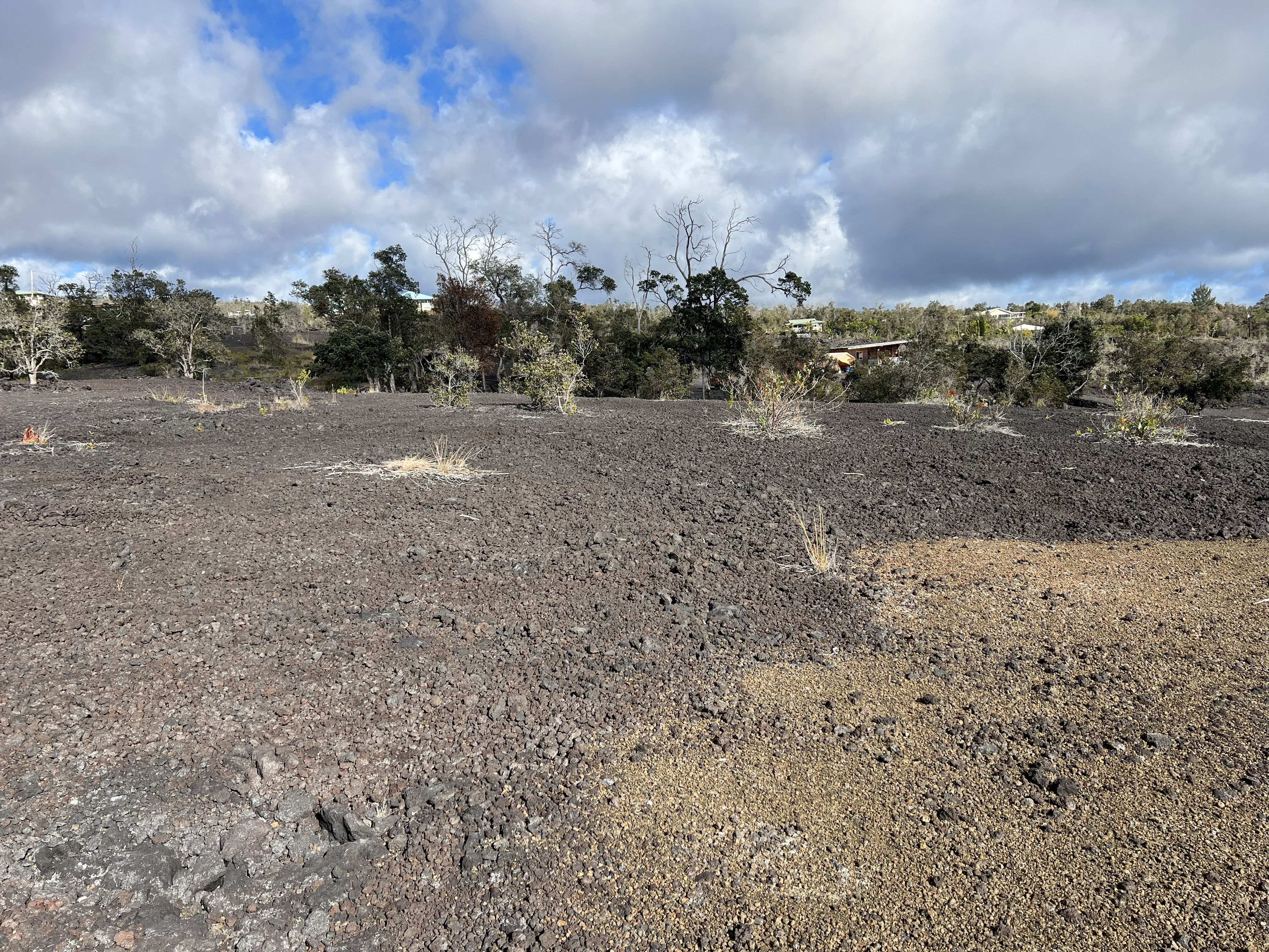 16 A Lot Ocean View Ocean View, HI 96704 - Photo 4 of 7 a view of a dry yard with trees
