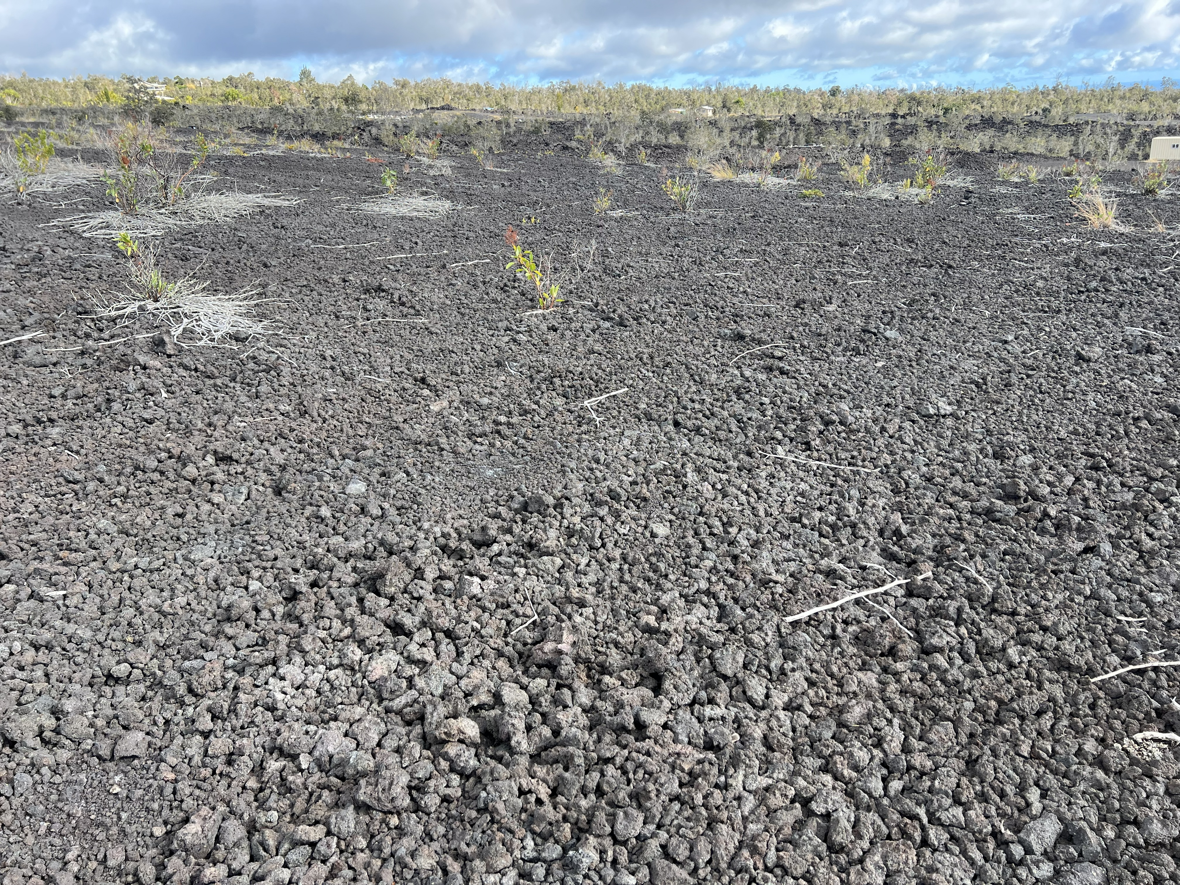 16 A Lot Ocean View Ocean View, HI 96704 - Photo 5 of 7 a view of an outdoor space