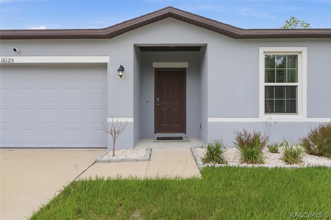 16125 Magpie Road Weeki Wachee, FL 34614 - Photo 6 of 49