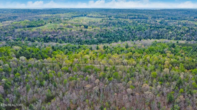 $410,915 | 70.69 Old Collins Road, Deer Lodge, TN 37726