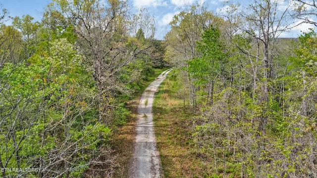 $410,915 | 70.69 Old Collins Road, Deer Lodge, TN 37726