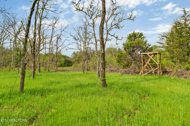 $410,915 | 70.69 Old Collins Road, Deer Lodge, TN 37726