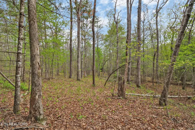 $410,915 | 70.69 Old Collins Road, Deer Lodge, TN 37726