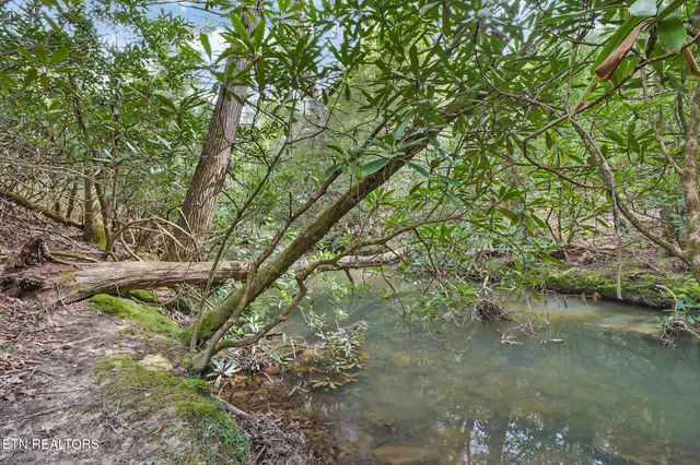 $410,915 | 70.69 Old Collins Road, Deer Lodge, TN 37726