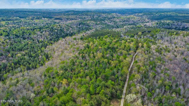 $410,915 | 70.69 Old Collins Road, Deer Lodge, TN 37726