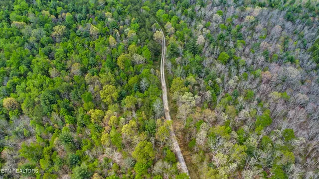 $410,915 | 70.69 Old Collins Road, Deer Lodge, TN 37726