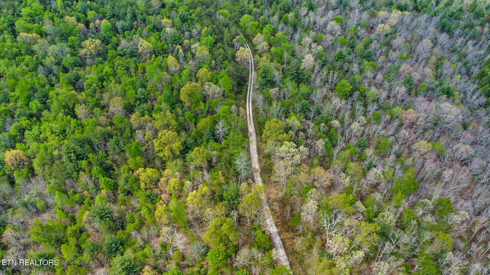 70.69 Old Collins Road Deer Lodge, TN 37726 - Photo 8 of 26 dji_0558-dji_0560