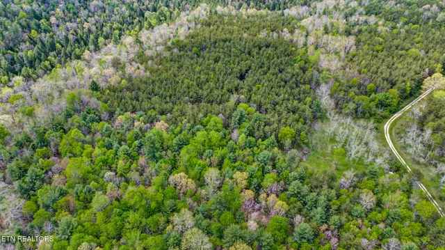 $410,915 | 70.69 Old Collins Road, Deer Lodge, TN 37726