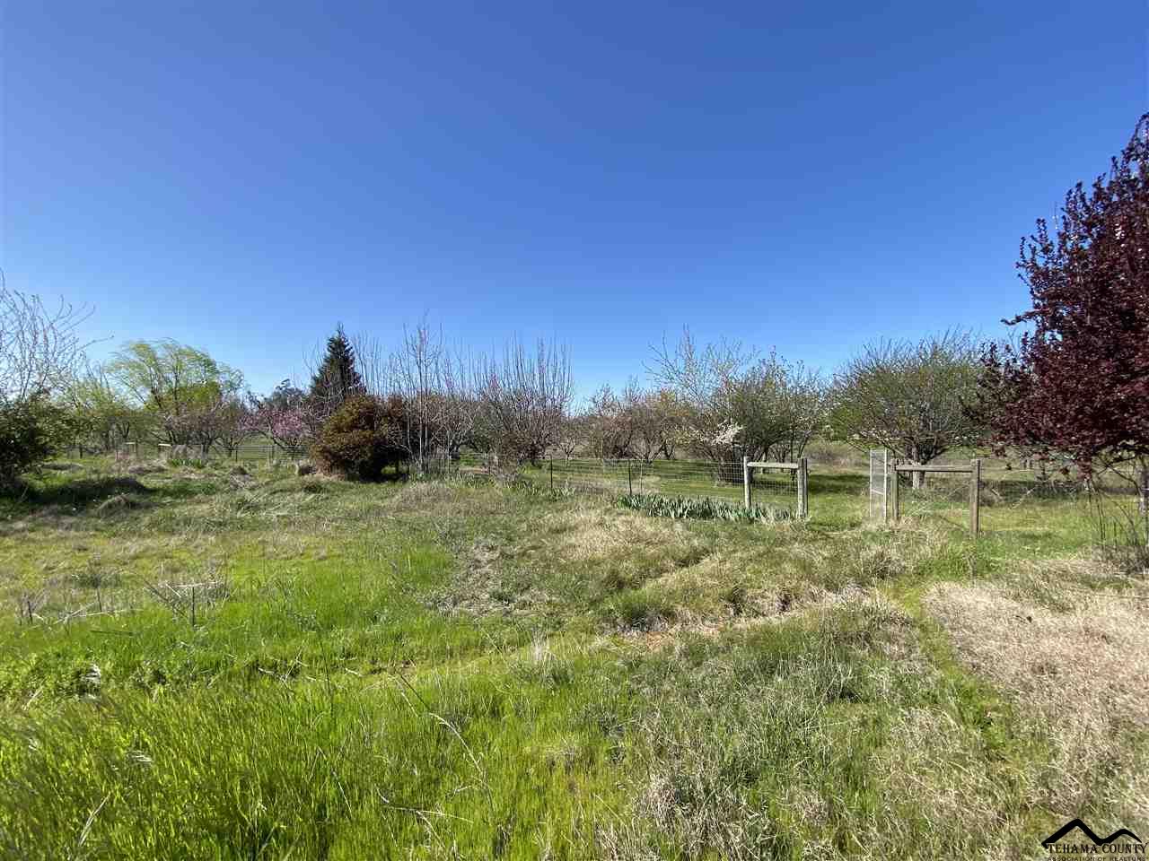 20960 Meyer Road Red Bluff, CA 96080 - Photo 7 of 7