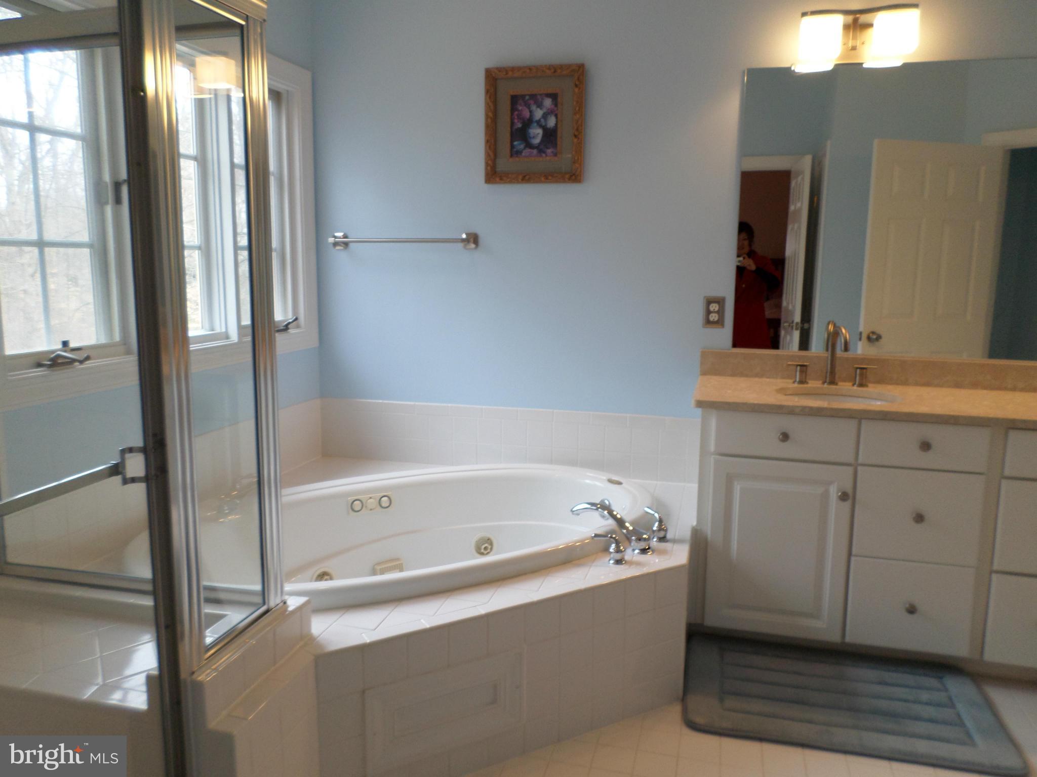 8588 Beatrice Court Springfield, VA 22152 - Photo 14 of 30 Bath (Master)