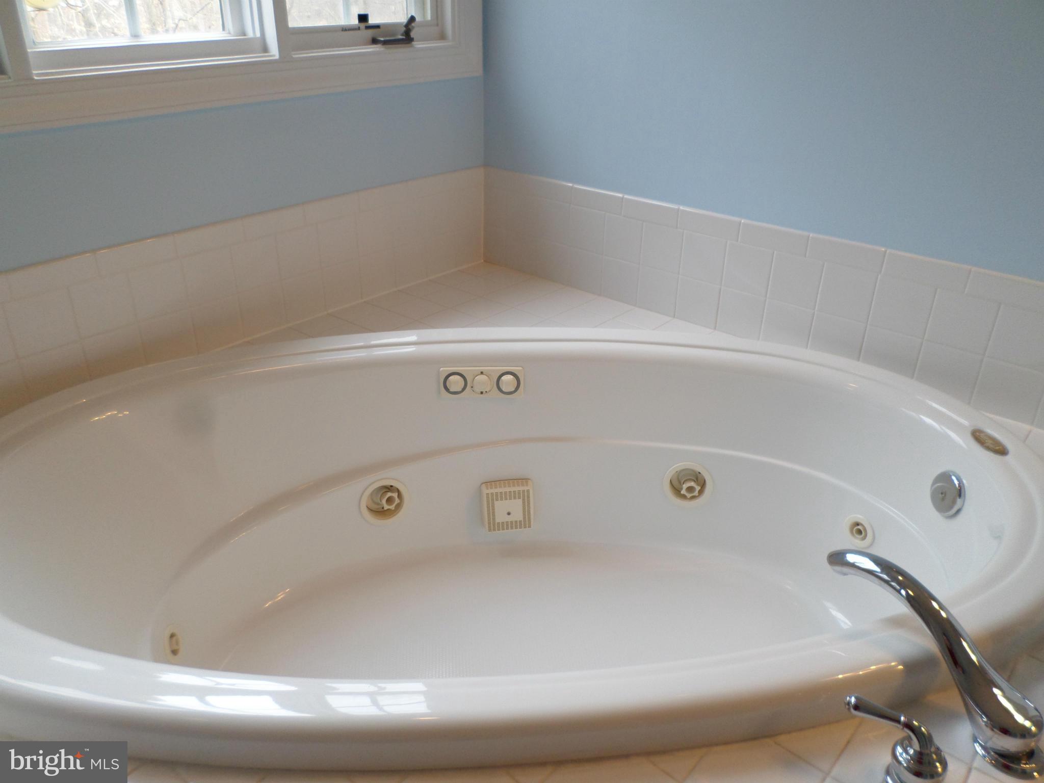 8588 Beatrice Court Springfield, VA 22152 - Photo 16 of 30 Bath (Master)