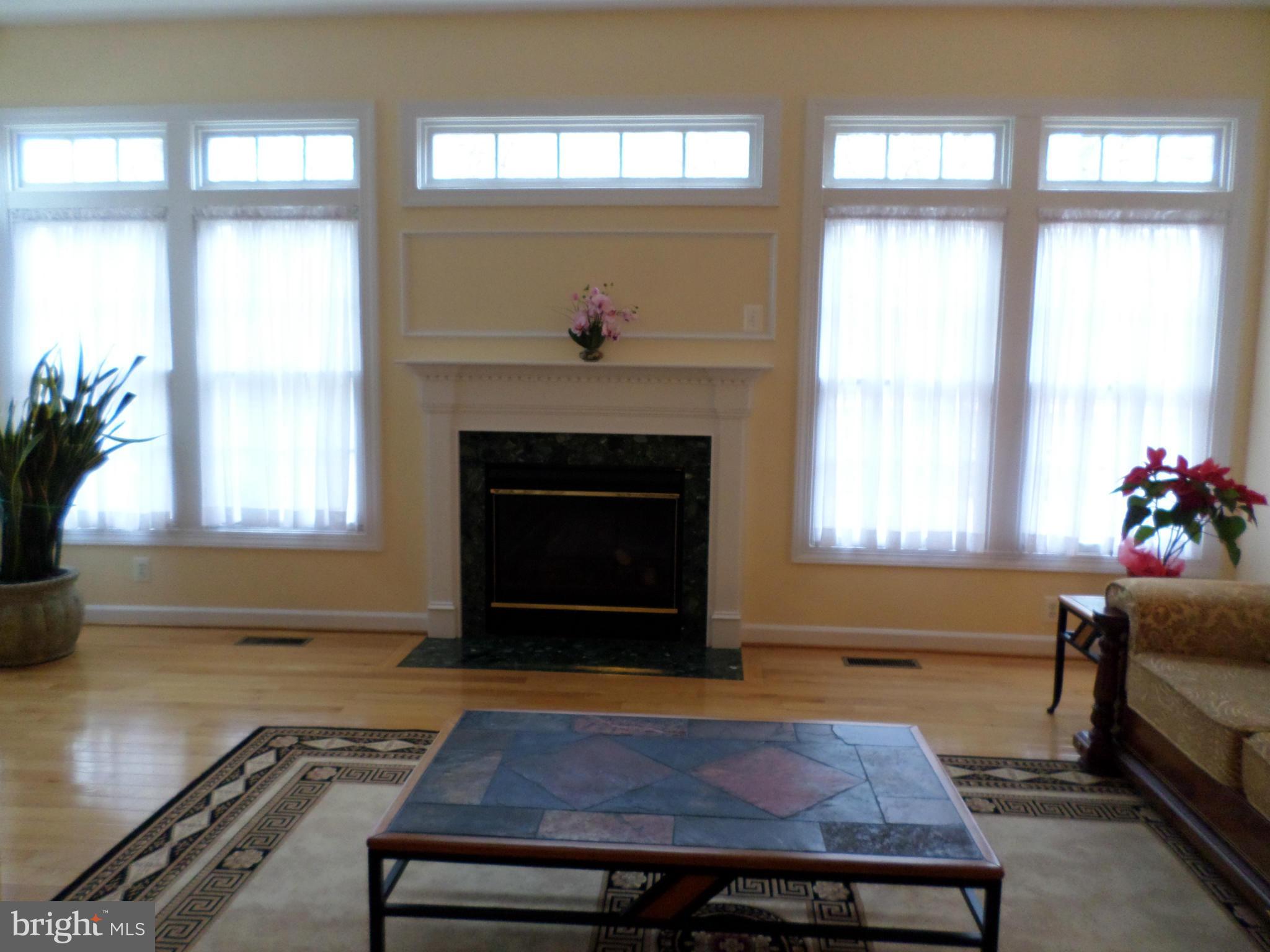 8588 Beatrice Court Springfield, VA 22152 - Photo 23 of 30 Family Room