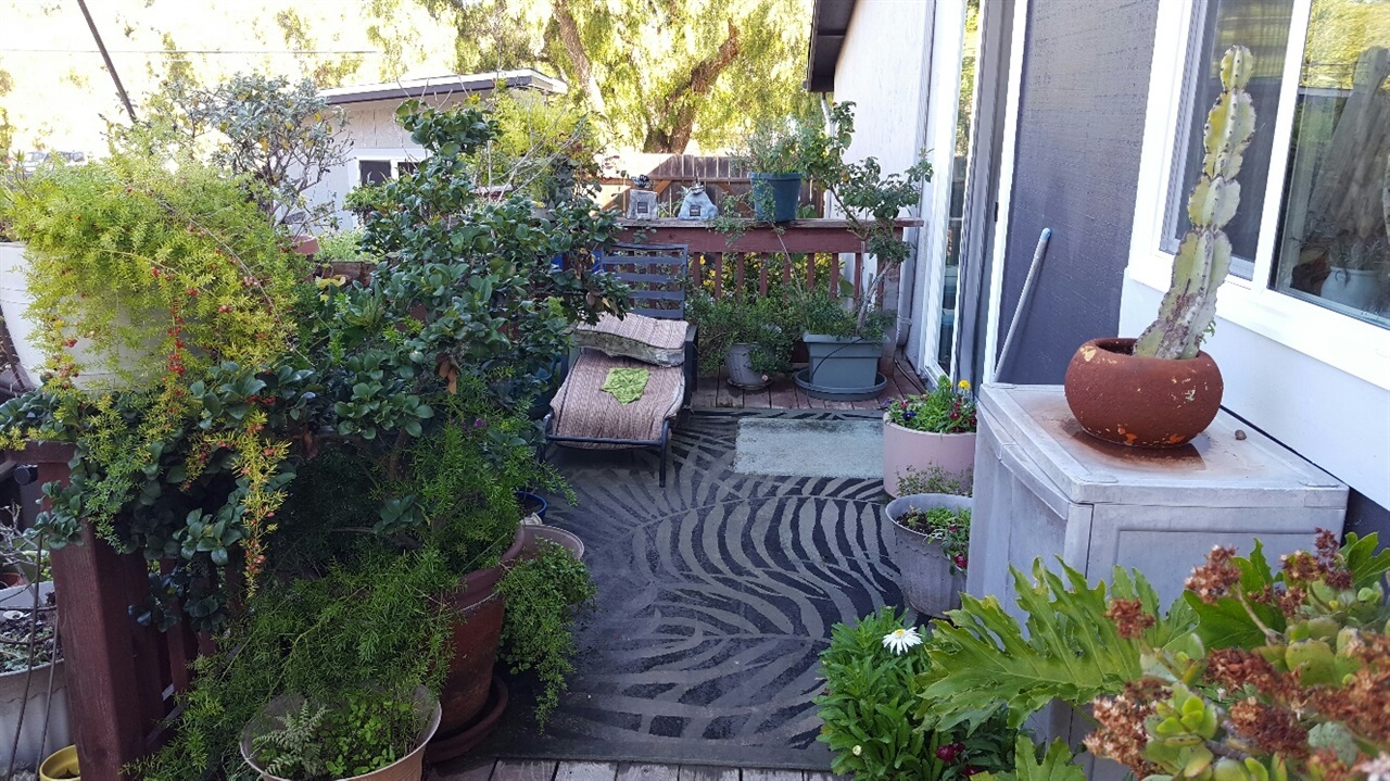 9155 Rosedale Drive Spring Valley, CA 91977 - Photo 13 of 19