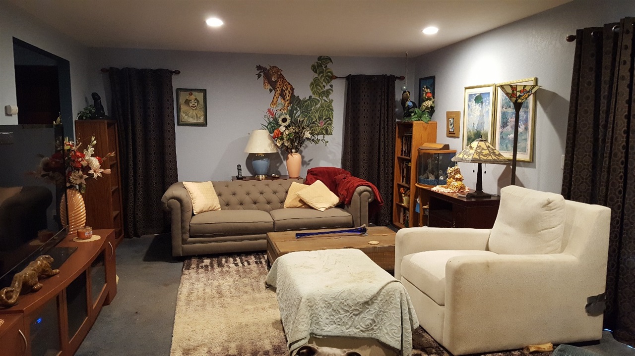 9155 Rosedale Drive Spring Valley, CA 91977 - Photo 3 of 19