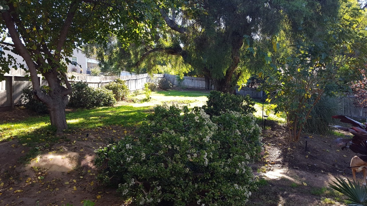 9155 Rosedale Drive Spring Valley, CA 91977 - Photo 6 of 19