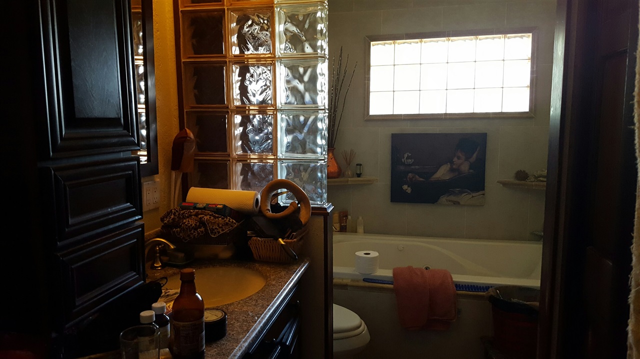 9155 Rosedale Drive Spring Valley, CA 91977 - Photo 7 of 19