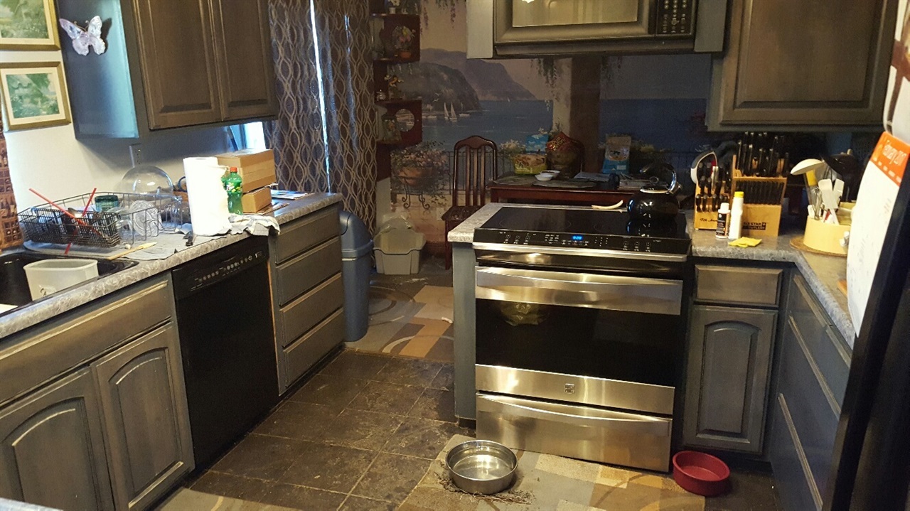9155 Rosedale Drive Spring Valley, CA 91977 - Photo 10 of 19