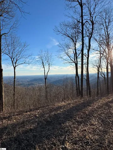 $495,000 | 278 Bella Vista Court, Unit CVNCM011, Zirconia, NC 28790