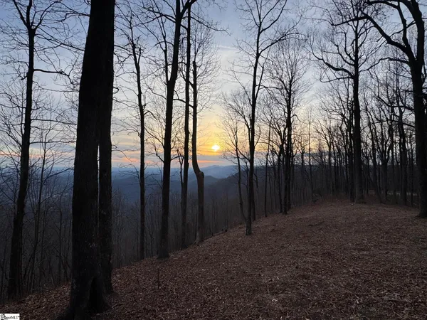 $495,000 | 278 Bella Vista Court, Unit CVNCM011, Zirconia, NC 28790