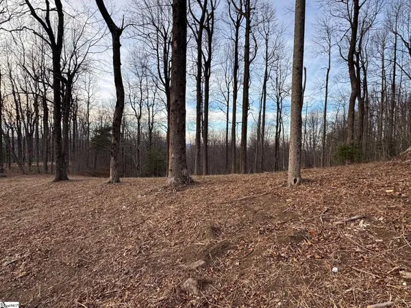 $495,000 | 278 Bella Vista Court, Unit CVNCM011, Zirconia, NC 28790