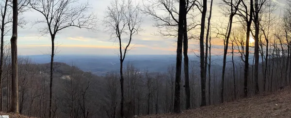 $495,000 | 278 Bella Vista Court, Unit CVNCM011, Zirconia, NC 28790