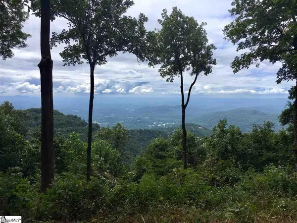 $495,000 | 278 Bella Vista Court, Unit CVNCM011, Zirconia, NC 28790