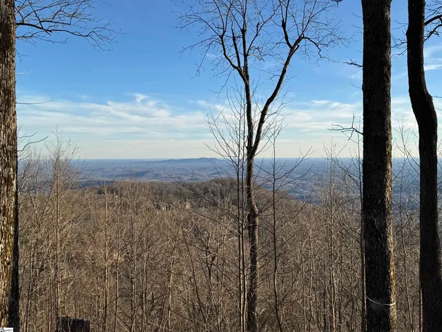 $495,000 | 278 Bella Vista Court, Unit CVNCM011, Zirconia, NC 28790