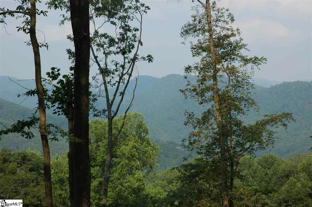 $495,000 | 278 Bella Vista Court, Unit CVNCM011, Zirconia, NC 28790