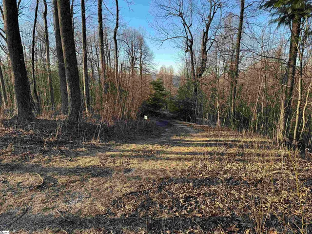 $495,000 | 278 Bella Vista Court, Unit CVNCM011, Zirconia, NC 28790