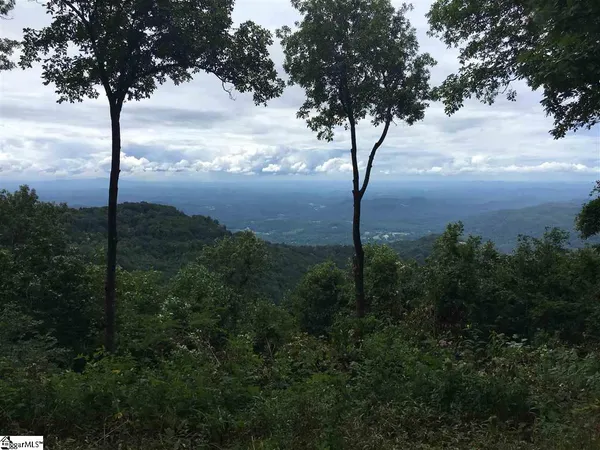 $495,000 | 278 Bella Vista Court, Unit CVNCM011, Zirconia, NC 28790