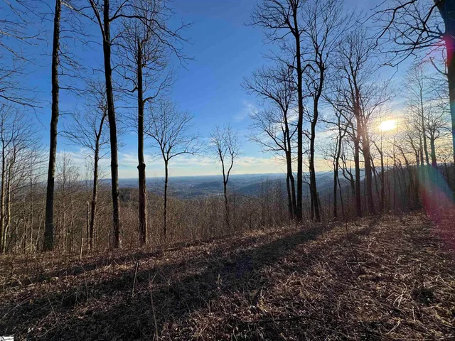 $495,000 | 278 Bella Vista Court, Unit CVNCM011, Zirconia, NC 28790