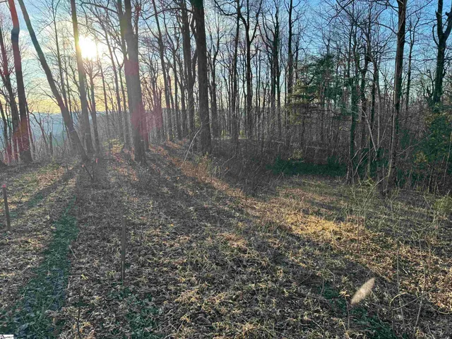 $495,000 | 278 Bella Vista Court, Unit CVNCM011, Zirconia, NC 28790