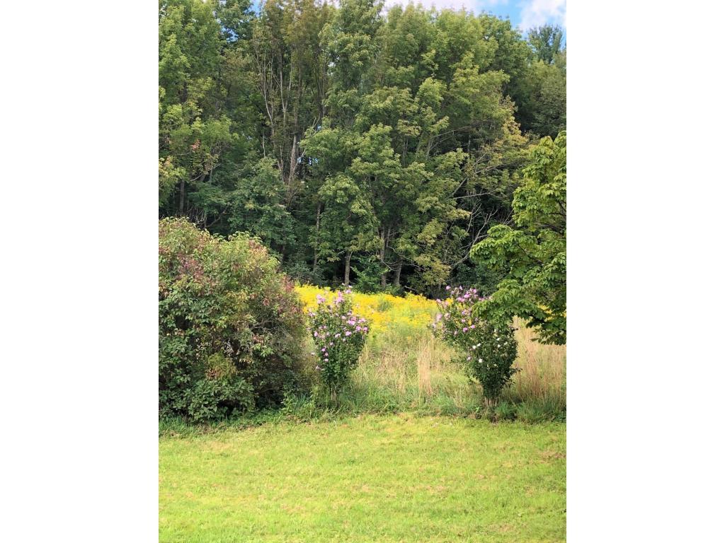 1107 Old Rte 17 Windsor, NY 13865 - Photo 11 of 11 Gallery Image 11