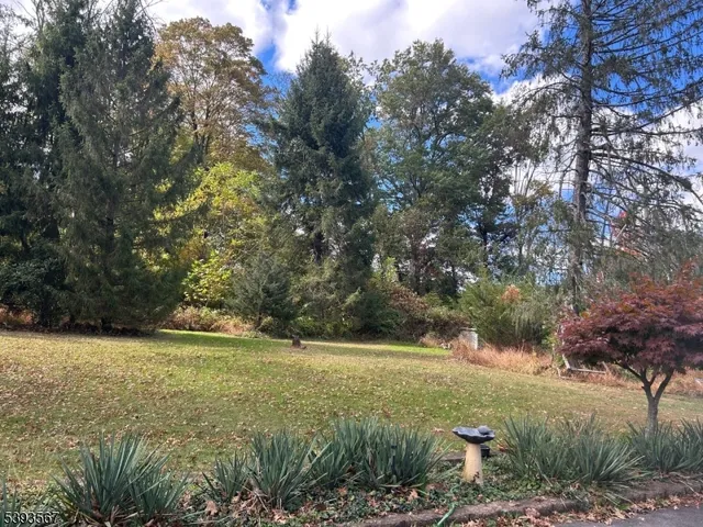 a view of a field with an trees