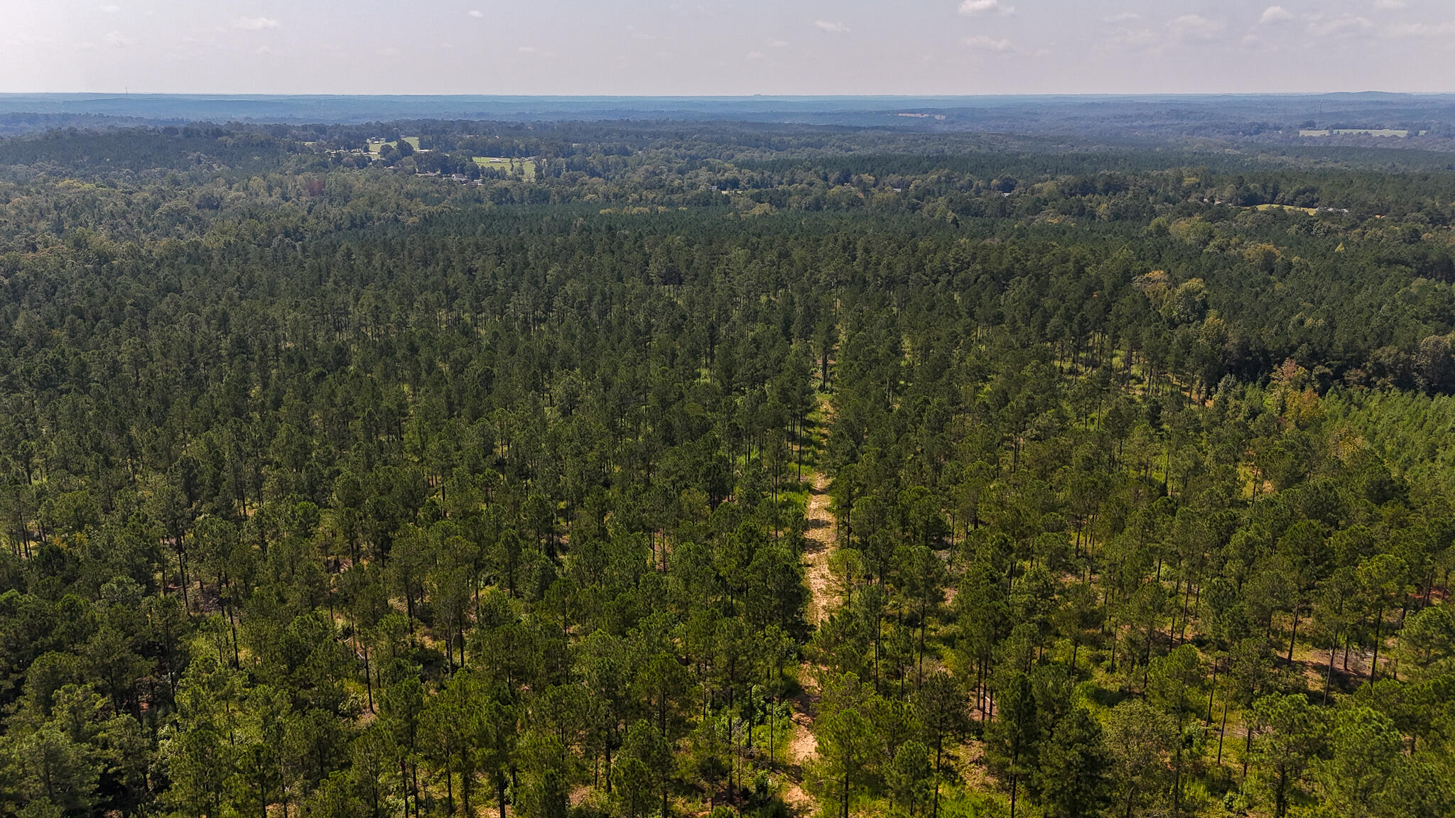 0 Bailey Road Buffalo, SC 29321 - Photo 11 of 16 Buffalo Tract Compass South Land Sales-2