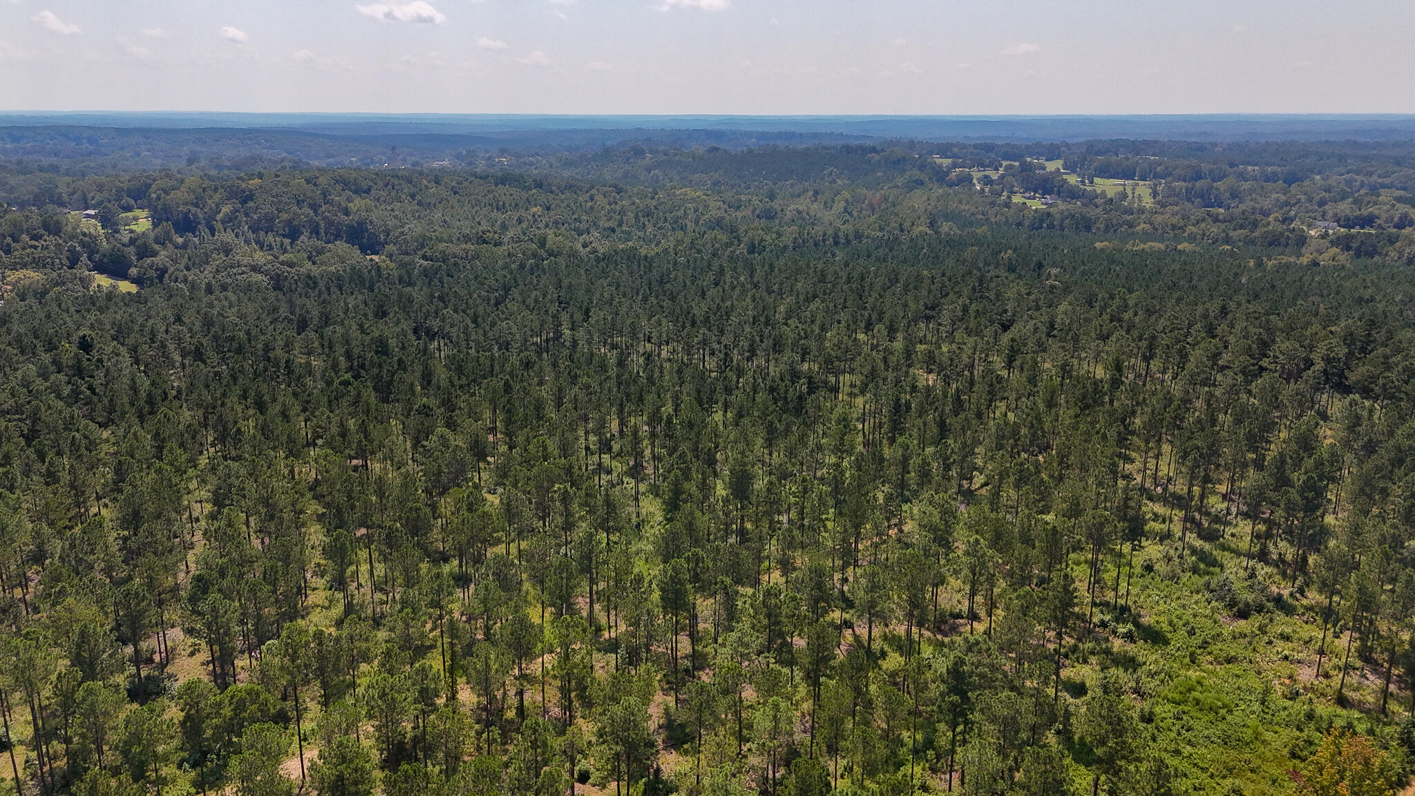 0 Bailey Road Buffalo, SC 29321 - Photo 12 of 16 Buffalo Tract Compass South Land Sales-2