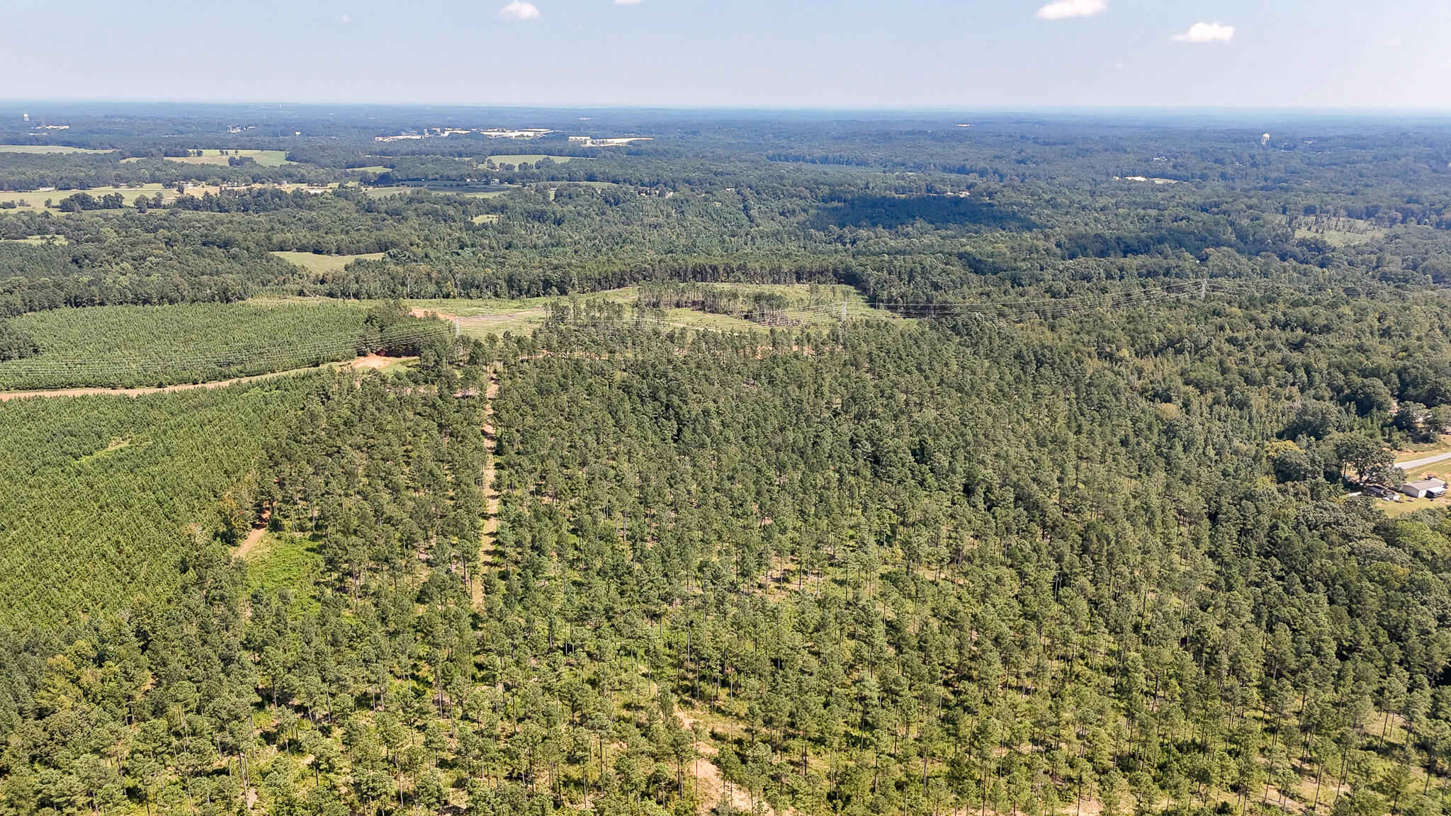 0 Bailey Road Buffalo, SC 29321 - Photo 13 of 16 Buffalo Tract Compass South Land Sales-2