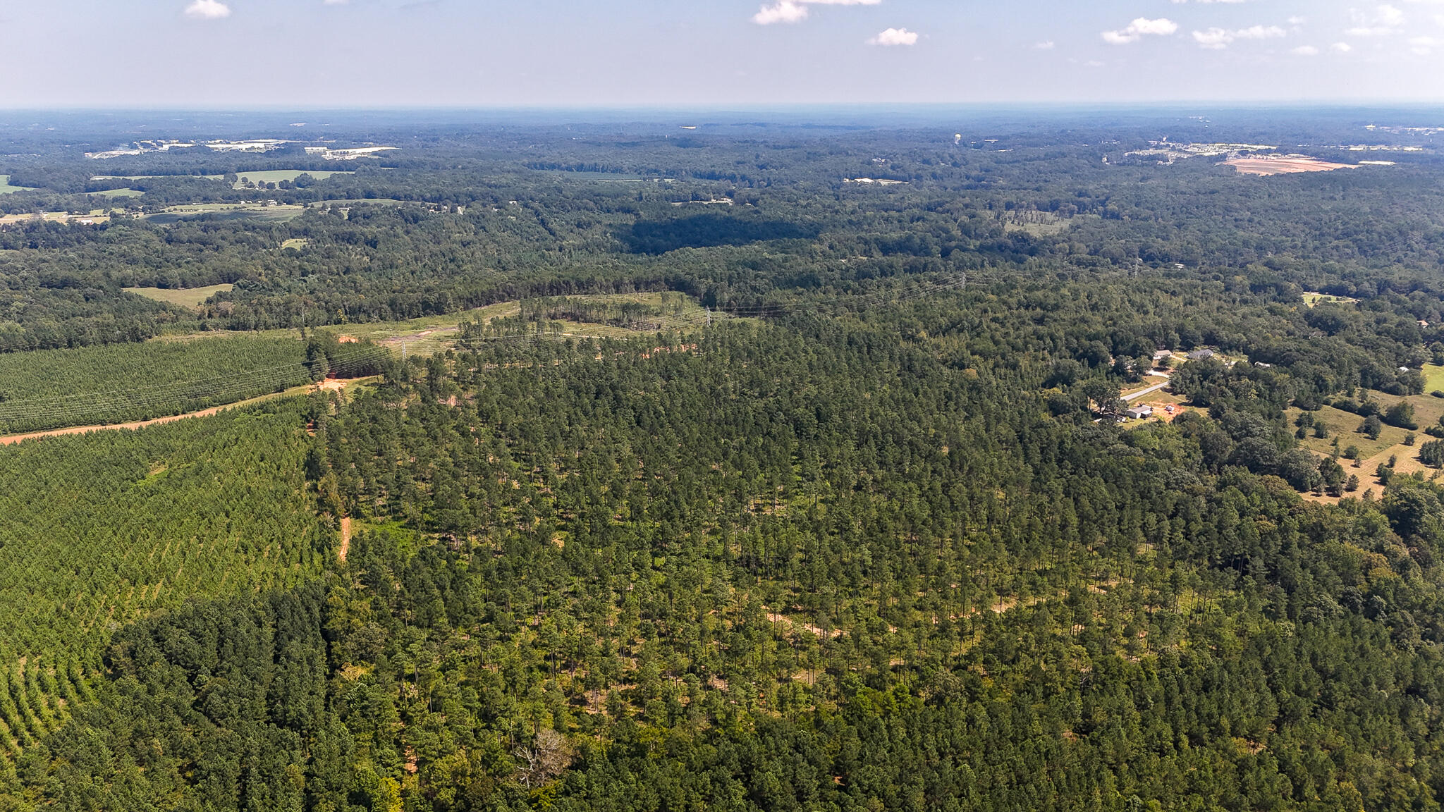 0 Bailey Road Buffalo, SC 29321 - Photo 2 of 16 Buffalo Tract Compass South Land Sales-1
